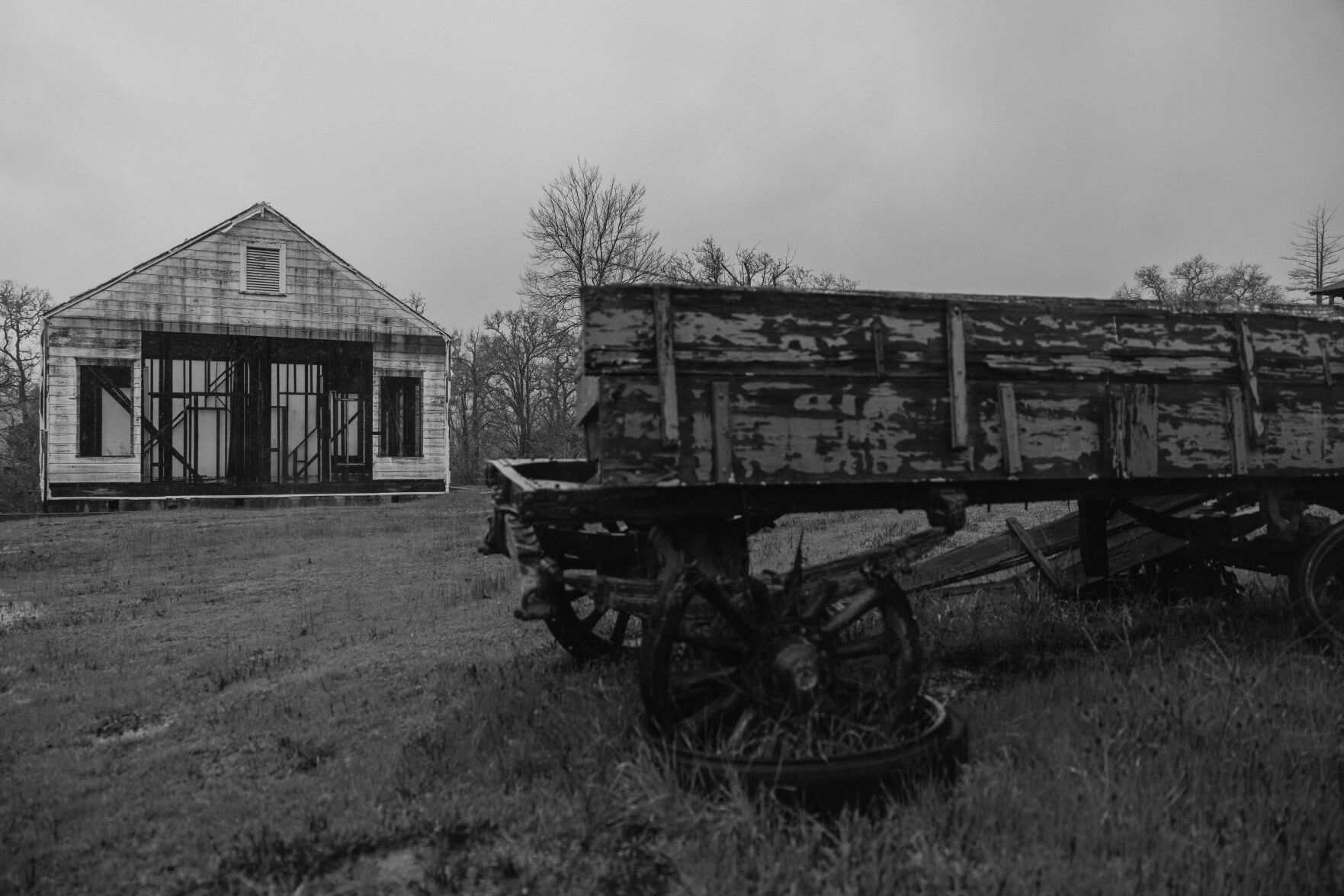Aetna Springa BW